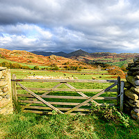 Buy canvas prints of Moorland Gate by Helen Hotson