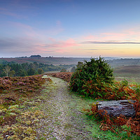 Buy canvas prints of Dawn at Rockford Common by Helen Hotson