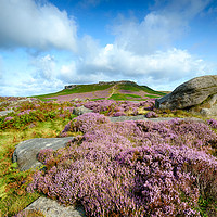 Buy canvas prints of Heather at Carl Wark by Helen Hotson