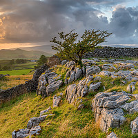 Buy canvas prints of Stormy sunset over a small limestone pavement by Helen Hotson