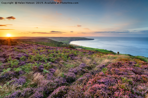 Summer heather in bloom on the North York Moors Picture Board by Helen Hotson