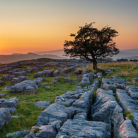 Buy canvas prints of Beautiful sunset at the Winskill Stones  by Helen Hotson