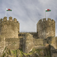 Buy canvas prints of Conwy Castle by Bahadir Yeniceri