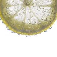 Buy canvas prints of Lemon Slice by Bahadir Yeniceri