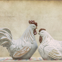 Buy canvas prints of  Rooster and Hen by Bahadir Yeniceri