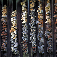 Buy canvas prints of Firewood by Andreas Klatt