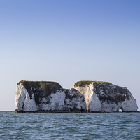 Buy canvas prints of Old Harry by Colin Porteous