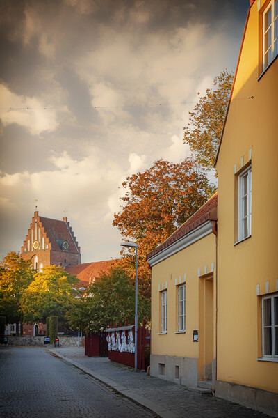 Solvesborg Street Scene With Church Picture Board by Antony McAulay