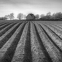 Buy canvas prints of Ploughed Field in Sweden by Antony McAulay