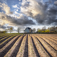 Buy canvas prints of Ploughed Field with Little House in Sweden by Antony McAulay