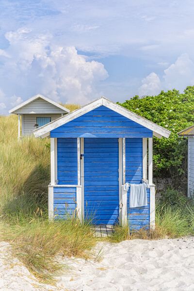 Skanor Beach Hut in Blue and White Picture Board by Antony McAulay