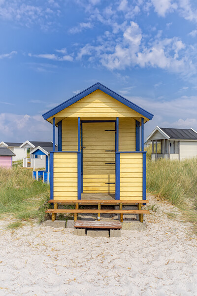 Skanor Beach Hut in Blue and Yellow Picture Board by Antony McAulay