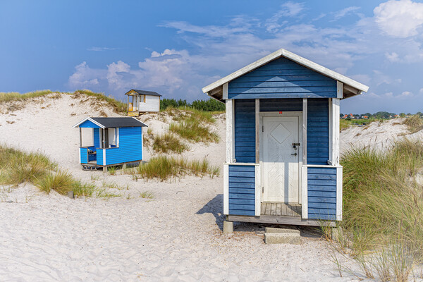Skanor Beach Huts in Blue and White Picture Board by Antony McAulay
