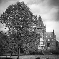 Buy canvas prints of Trollenas Castle with Large Tree by Antony McAulay