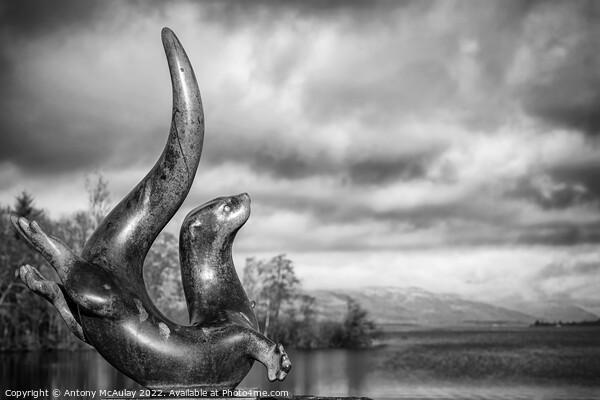 Scotland Sea Life Centre Loch Lomond Otter Statue BW Picture Board by Antony McAulay