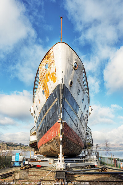 Scotland Loch Lomond Maid of the Loch Undergoing Repairs Picture Board by Antony McAulay