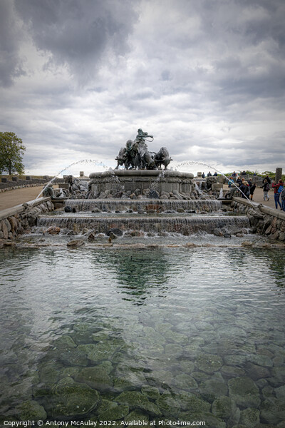 Copenhagen Gefion Fountain Picture Board by Antony McAulay