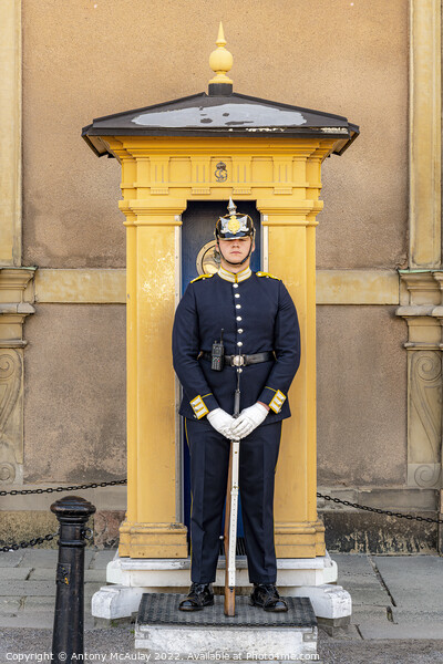 Stockholms Royal Palace Sentry Guard Picture Board by Antony McAulay