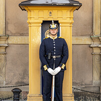 Buy canvas prints of Stockholms Royal Palace Sentry Guard by Antony McAulay