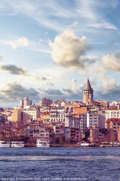 Istanbul Galata Region Picture Board by Antony McAulay