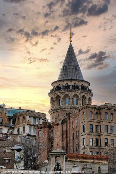 Istanbul Galata Tower at Sunset Picture Board by Antony McAulay