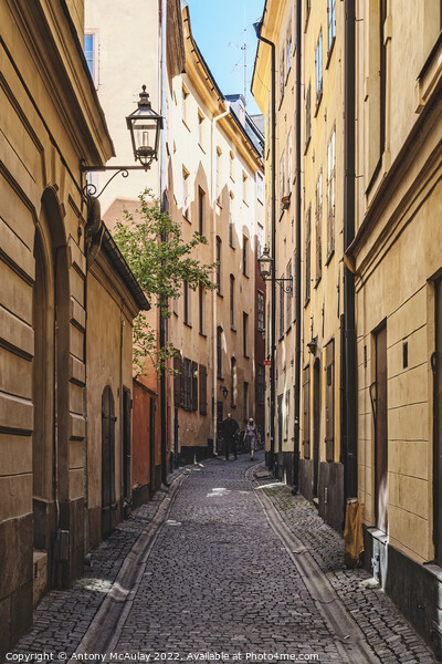 Stockholm Gamla Stan Narrow Street Picture Board by Antony McAulay