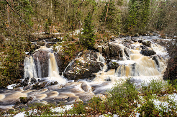 Danish Falls in Halland Sweden Picture Board by Antony McAulay