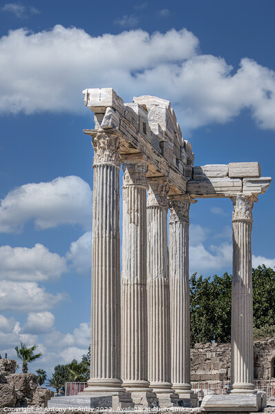 Side Temple of Apollo Picture Board by Antony McAulay