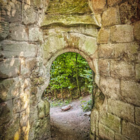 Buy canvas prints of Rosslyn Castle Forest Entry by Antony McAulay