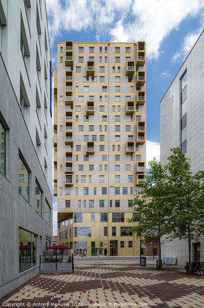 Helsingborg Soder Heights Tower Block Picture Board by Antony McAulay