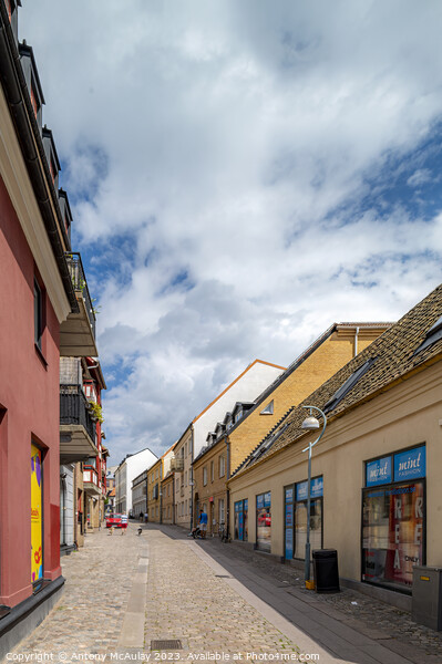 Helsingborg Street Scene Picture Board by Antony McAulay