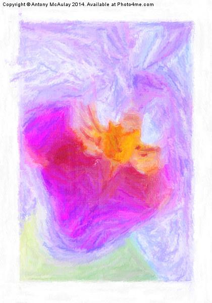 Abstract Orchid Pastel Picture Board by Antony McAulay