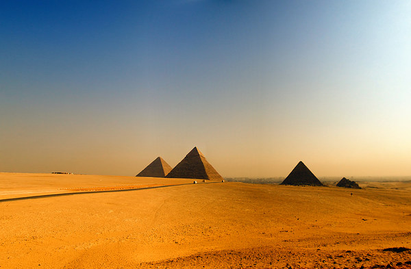 pyramids of giza 08 Picture Board by Antony McAulay