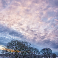 Buy canvas prints of Winter Dawn by Antony McAulay