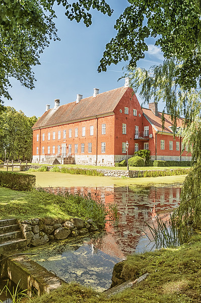 Hviderup Slott through the trees Picture Board by Antony McAulay