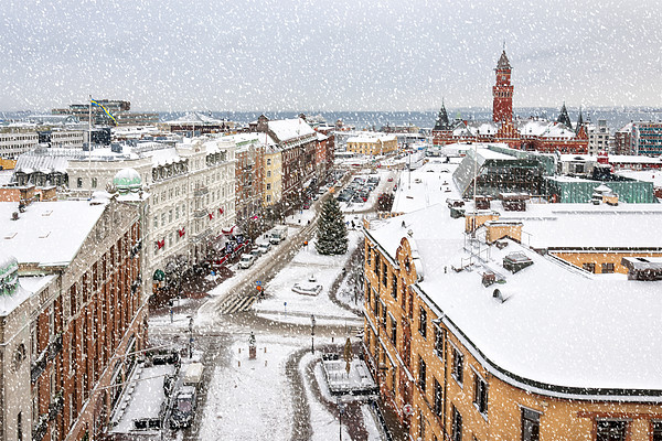 Helsingborg Wintry Weather Picture Board by Antony McAulay