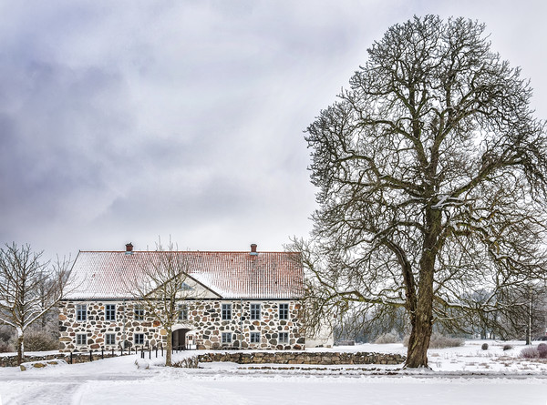 Hovdala Castle in Winter Picture Board by Antony McAulay