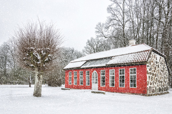 Hovdala Castle Orangery in Winter Picture Board by Antony McAulay