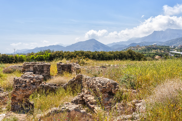Roman Villa Ruins at Makry Gialos Picture Board by Antony McAulay