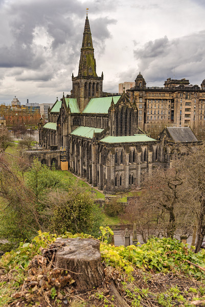 Glasgow Cathedral From The Necropolis Picture Board by Antony McAulay