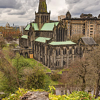 Buy canvas prints of Glasgow Cathedral From The Necropolis by Antony McAulay