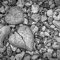 Buy canvas prints of Hearts of Stone by Antony McAulay