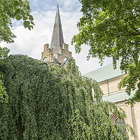 Buy canvas prints of Halmstad Church in Summertime by Antony McAulay