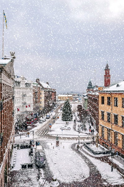 Helsingborg Snowy Weather Picture Board by Antony McAulay