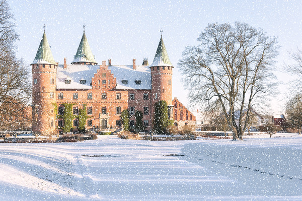 Trolleholm Castle in the Snow Picture Board by Antony McAulay