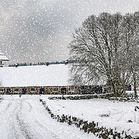 Buy canvas prints of Hovdala Castle in Winter by Antony McAulay