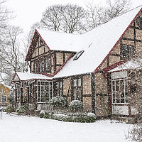 Buy canvas prints of ramlosa brunnspark house in winter by Antony McAulay