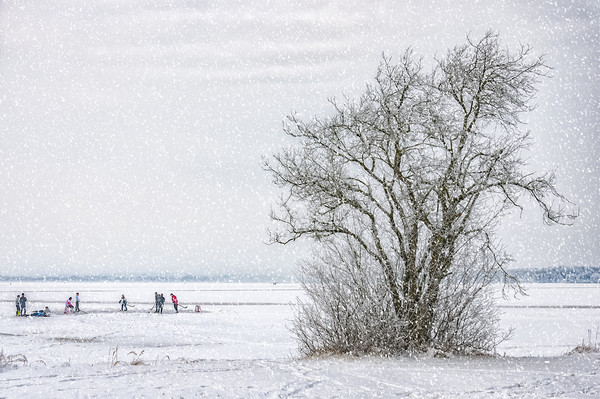 Winter Wonderland Frozen Lake Picture Board by Antony McAulay