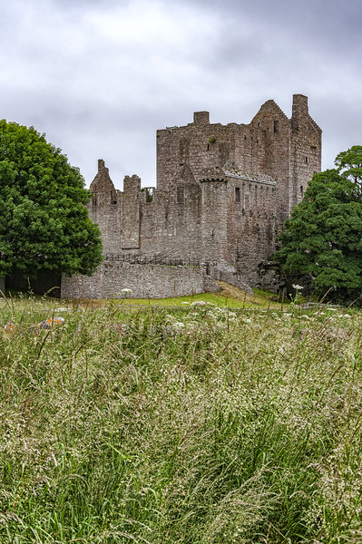 Craigmillar Castle Ruins Picture Board by Antony McAulay