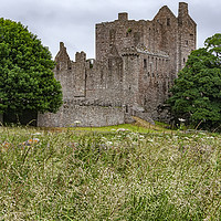Buy canvas prints of Craigmillar Castle Ruins by Antony McAulay